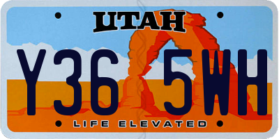 UT license plate Y365WH