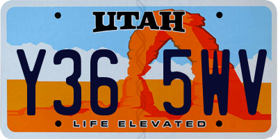 UT license plate Y365WV