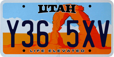 UT license plate Y365XV
