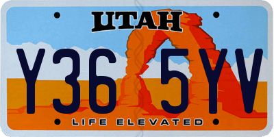 UT license plate Y365YV