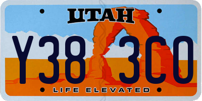 UT license plate Y383CO