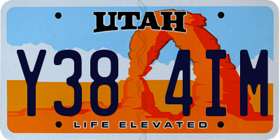UT license plate Y384IM