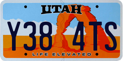 UT license plate Y384TS