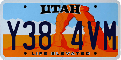 UT license plate Y384VM