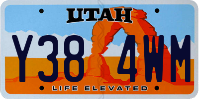 UT license plate Y384WM