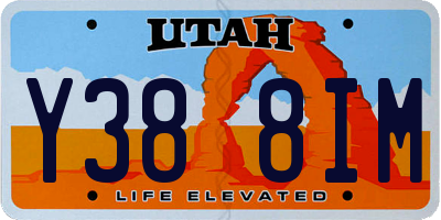 UT license plate Y388IM