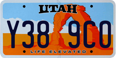 UT license plate Y389CO