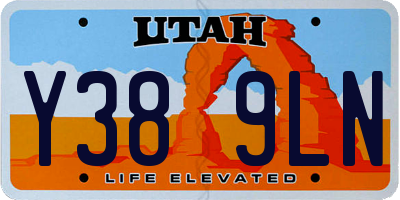 UT license plate Y389LN