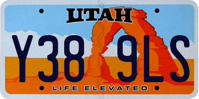 UT license plate Y389LS
