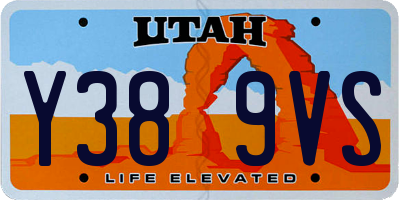 UT license plate Y389VS
