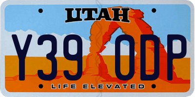 UT license plate Y390DP