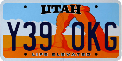 UT license plate Y390KG