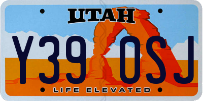 UT license plate Y390SJ