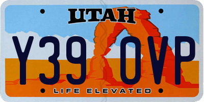UT license plate Y390VP