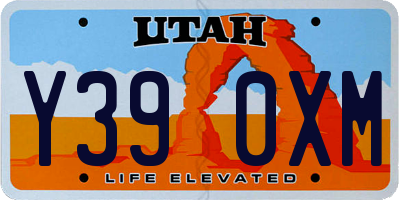 UT license plate Y390XM