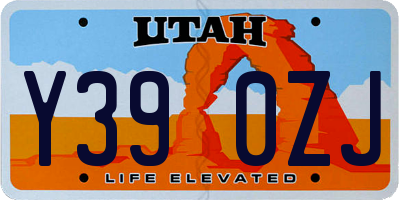 UT license plate Y390ZJ
