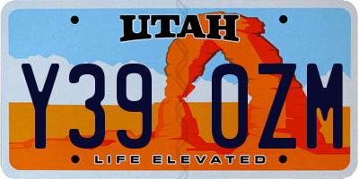 UT license plate Y390ZM