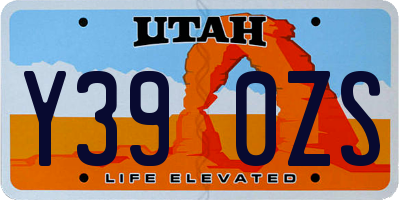UT license plate Y390ZS