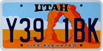 UT license plate Y391BK