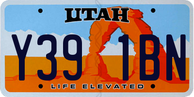 UT license plate Y391BN