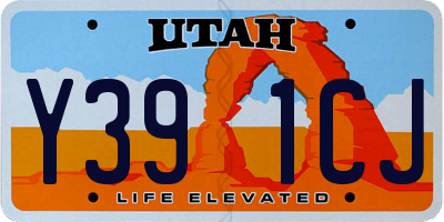 UT license plate Y391CJ
