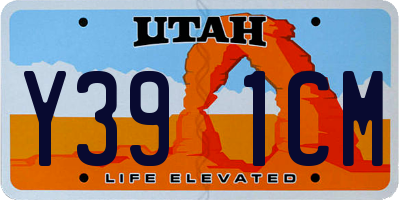 UT license plate Y391CM