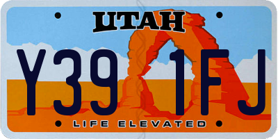 UT license plate Y391FJ
