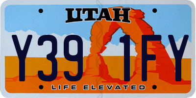 UT license plate Y391FY