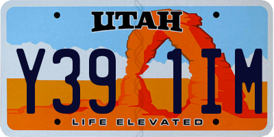 UT license plate Y391IM