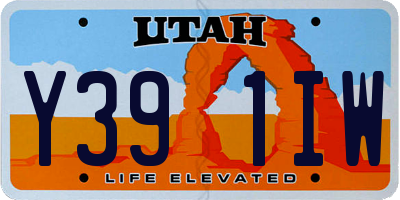 UT license plate Y391IW
