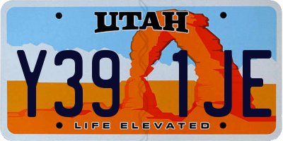 UT license plate Y391JE
