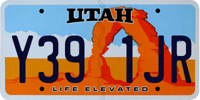 UT license plate Y391JR