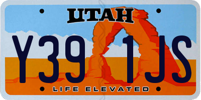 UT license plate Y391JS