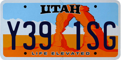 UT license plate Y391SG