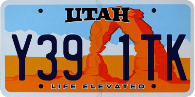 UT license plate Y391TK