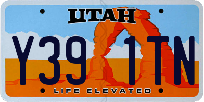 UT license plate Y391TN