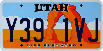 UT license plate Y391VJ