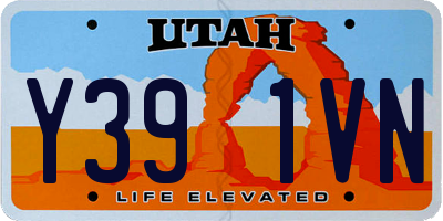 UT license plate Y391VN