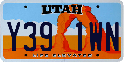 UT license plate Y391WN
