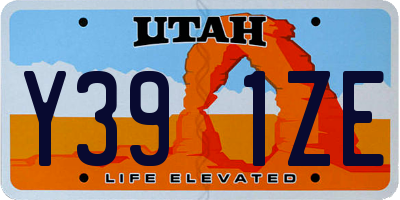 UT license plate Y391ZE