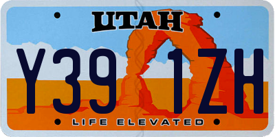 UT license plate Y391ZH