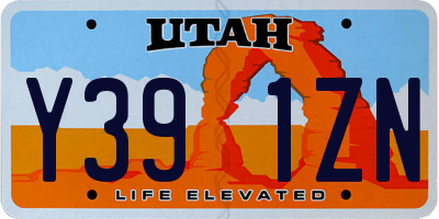 UT license plate Y391ZN