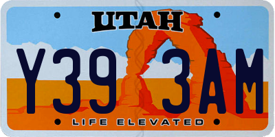 UT license plate Y393AM