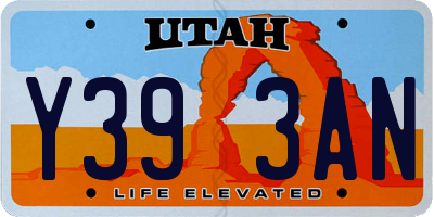 UT license plate Y393AN