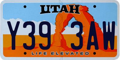 UT license plate Y393AW