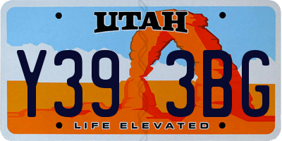 UT license plate Y393BG