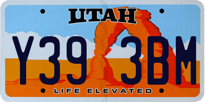 UT license plate Y393BM