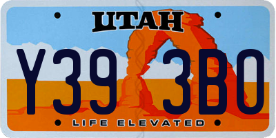 UT license plate Y393BO