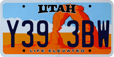 UT license plate Y393BW