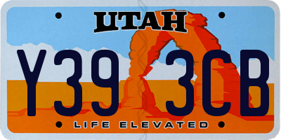 UT license plate Y393CB